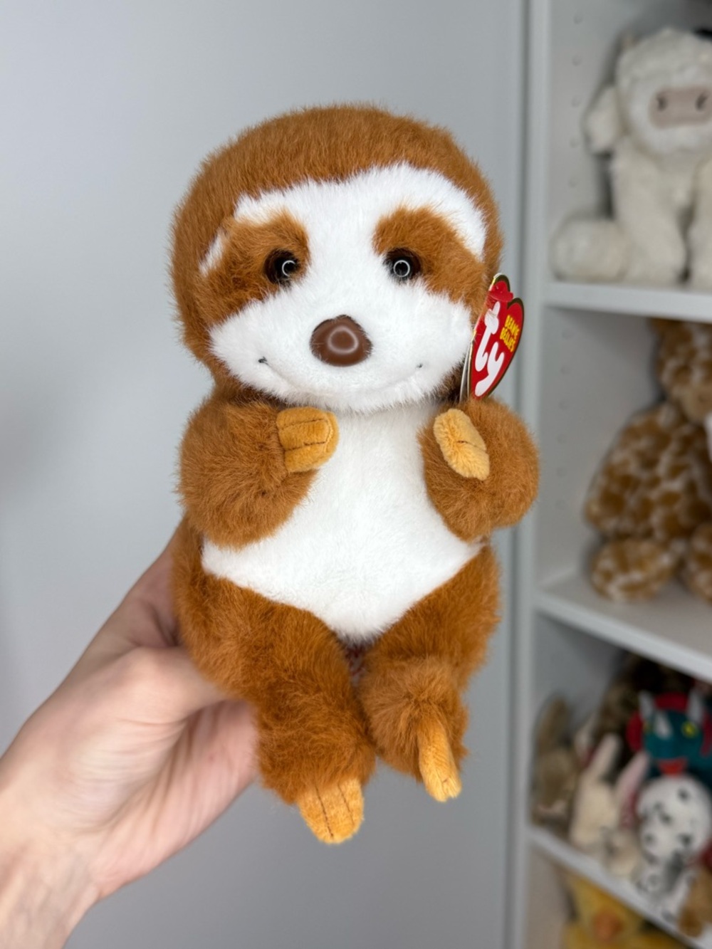 New Ty Beanie Bellies Stella The Sloth